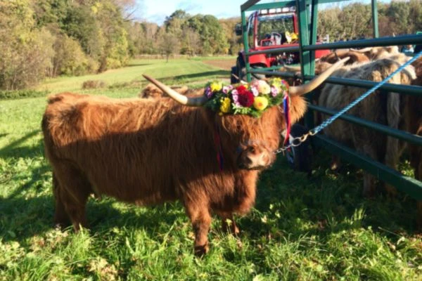 descente des alpages événement annecy