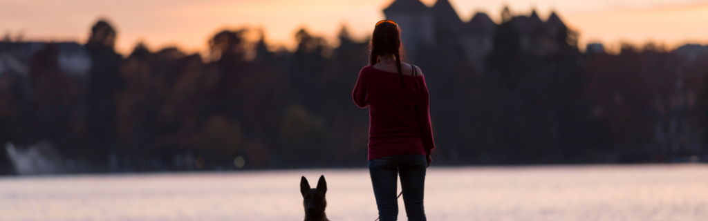 location chien accepté Annecy