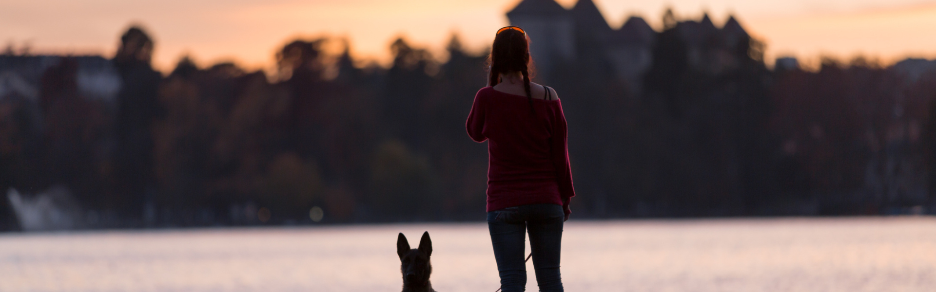 location chien accepté Annecy