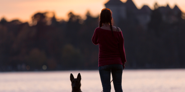 location chien accepté Annecy