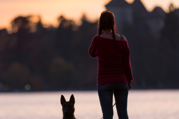 location chien accepté Annecy