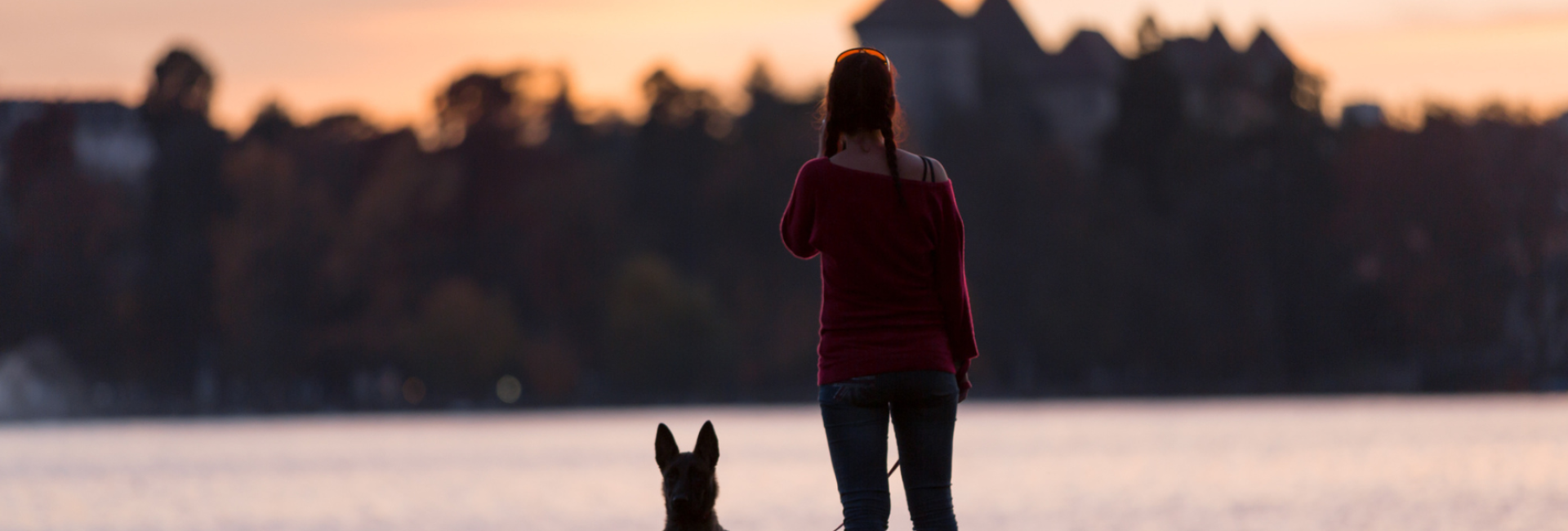 location chien accepté Annecy