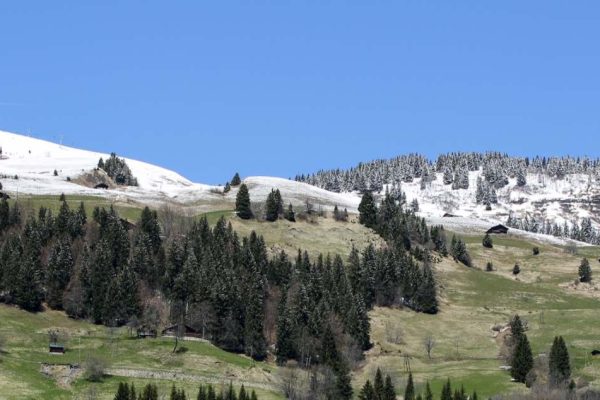 vacances dans les alpes en été