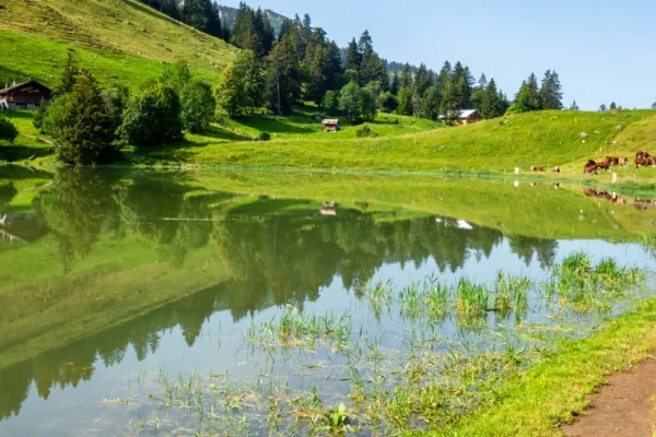lac des confins la clusaz