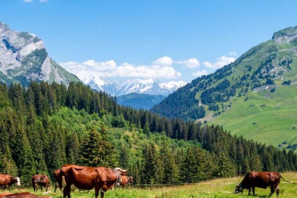 visiter la clusaz en ete