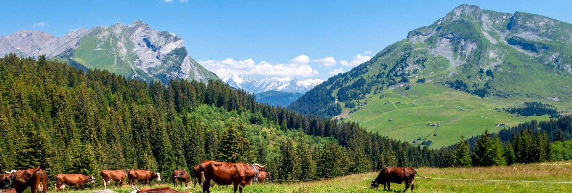 visit la clusaz in summer