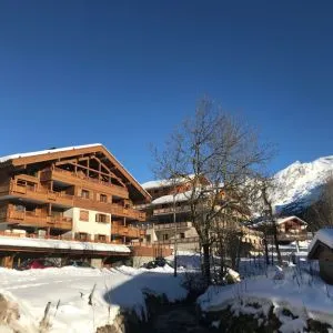 accommodation at ski in/ski out alps