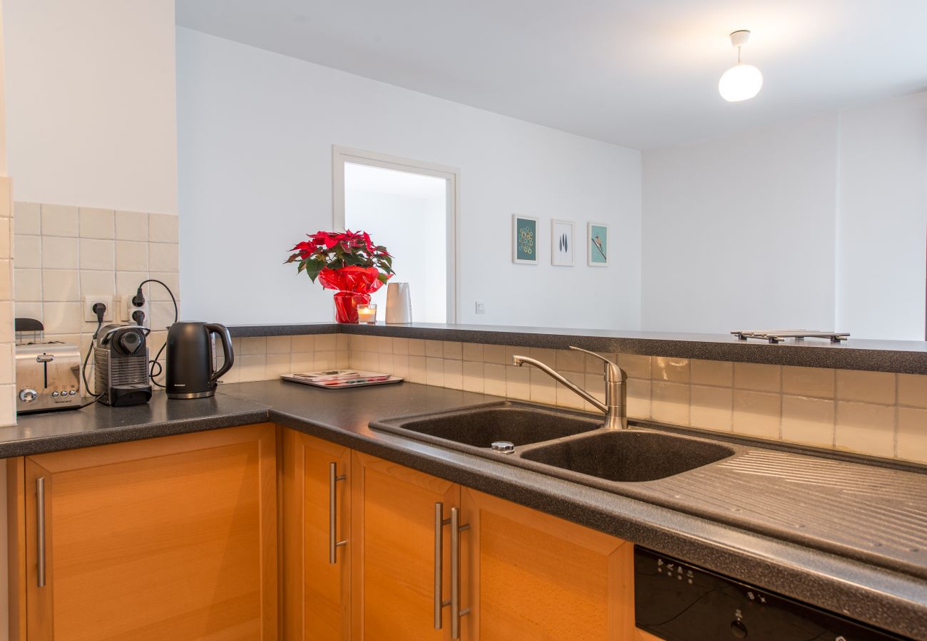 equipped kitchen, luxury, flat, holiday rental, annecy, vacation, lake view, mountain, hotel, snow, sun, private beach 