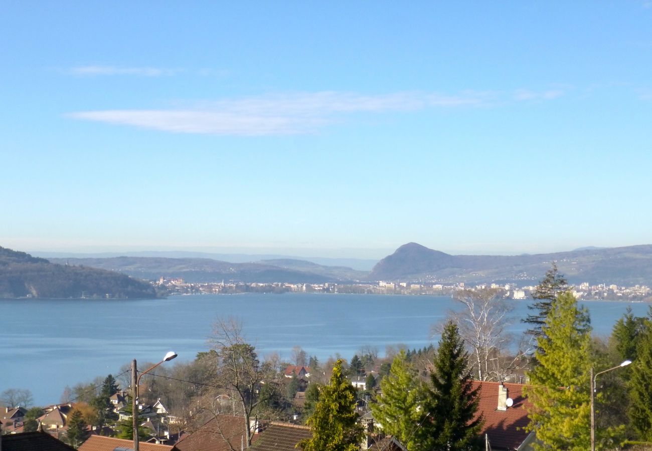 lake view, luxury, flat, holiday rental, annecy, vacation, lake view, mountain, chalet, standing, hotel, snow, sun