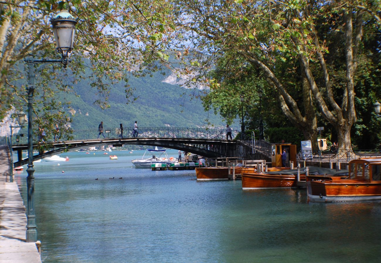 Annecy lake, luxury, flat, holiday rental, annecy, vacation, lake view, mountain, chalet, standing, hotel, snow, sun 