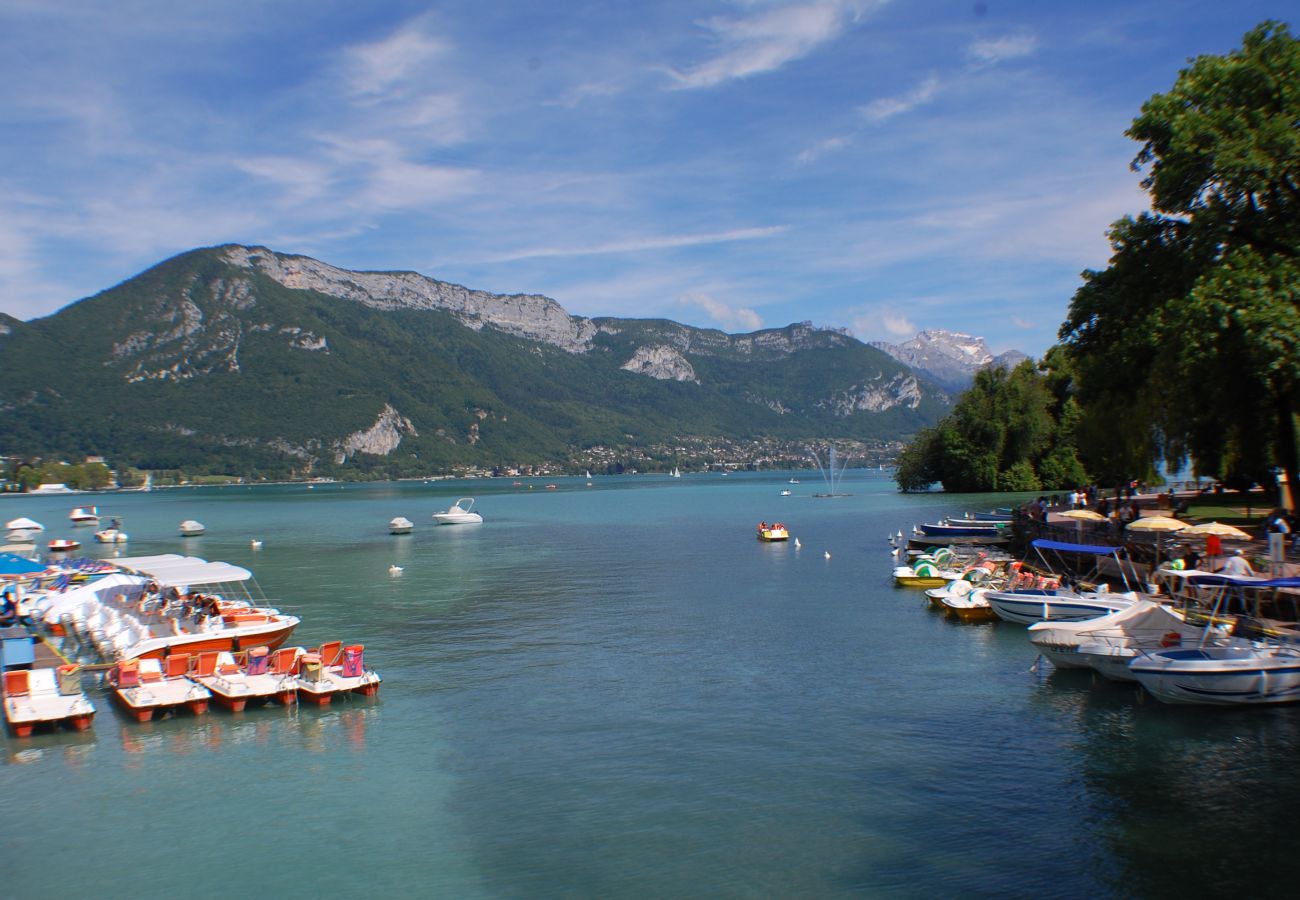 annecy lake, luxury, flat, holiday rental, annecy, vacation, lake view, mountain, chalet, standing, hotel, snow, sun