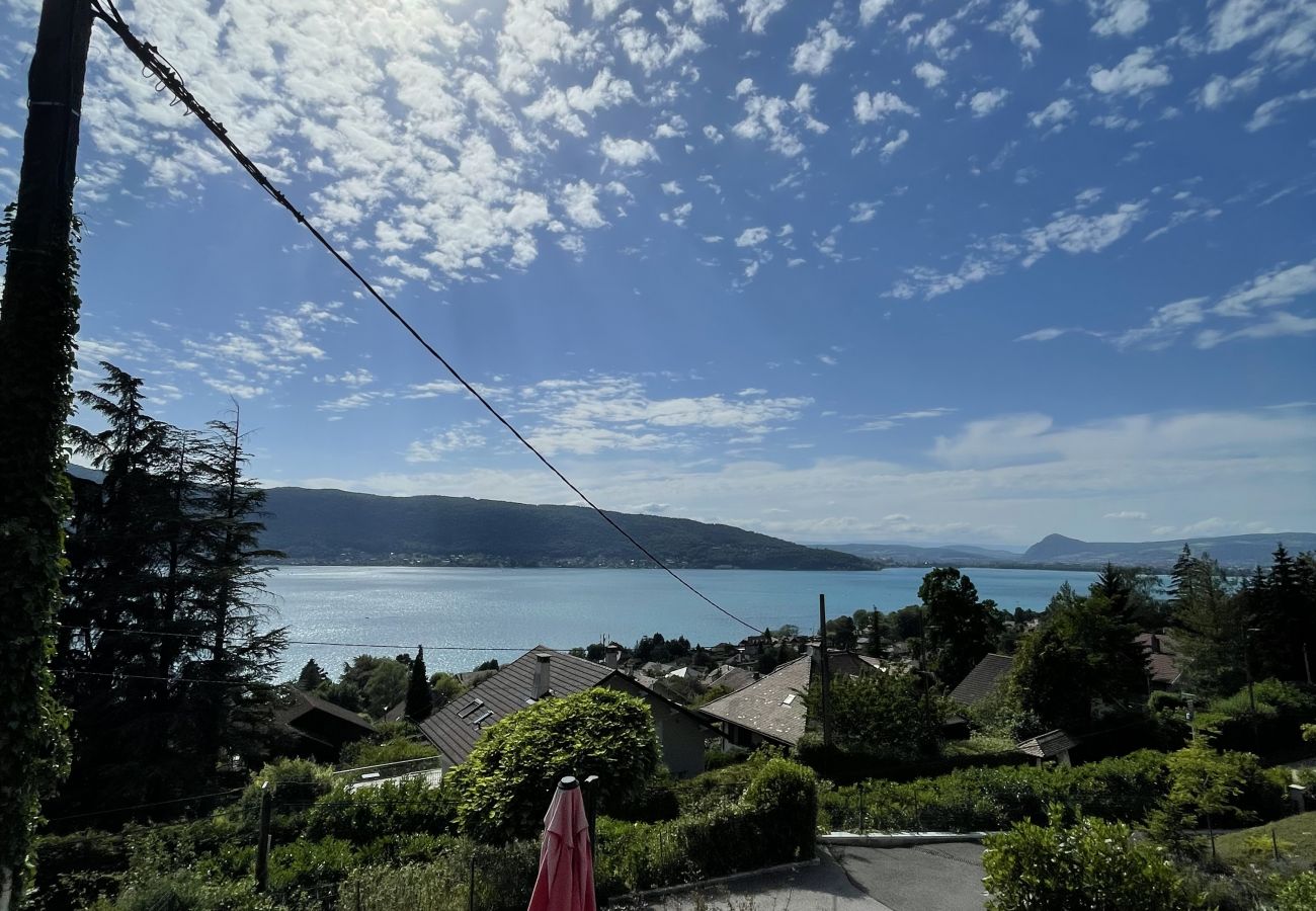 lake view, luxury, flat, holiday rental, annecy, vacation, lake view, mountain, chalet, standing, hotel, snow, sun