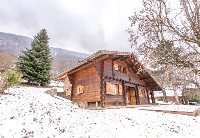 Chalet in Doussard - Charmant Chalet 50m du lac-jardin et parking Chalet in Doussard - Charmant Chalet 50m du lac-jardin et parking