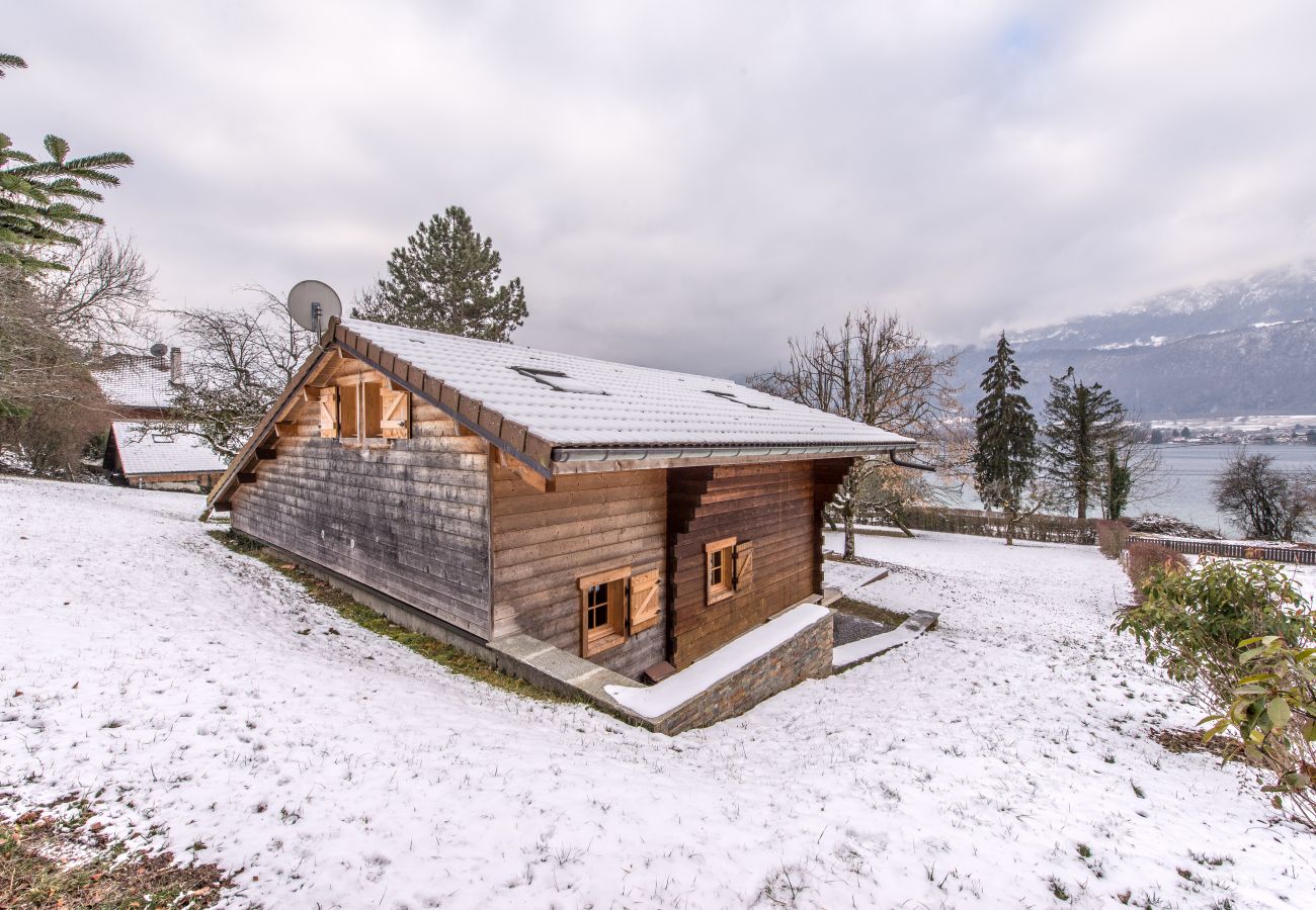 family, cottage, standing, holiday rental, location, annecy, lake, mountains, luxury, house, hotel, sun, snow, vacation