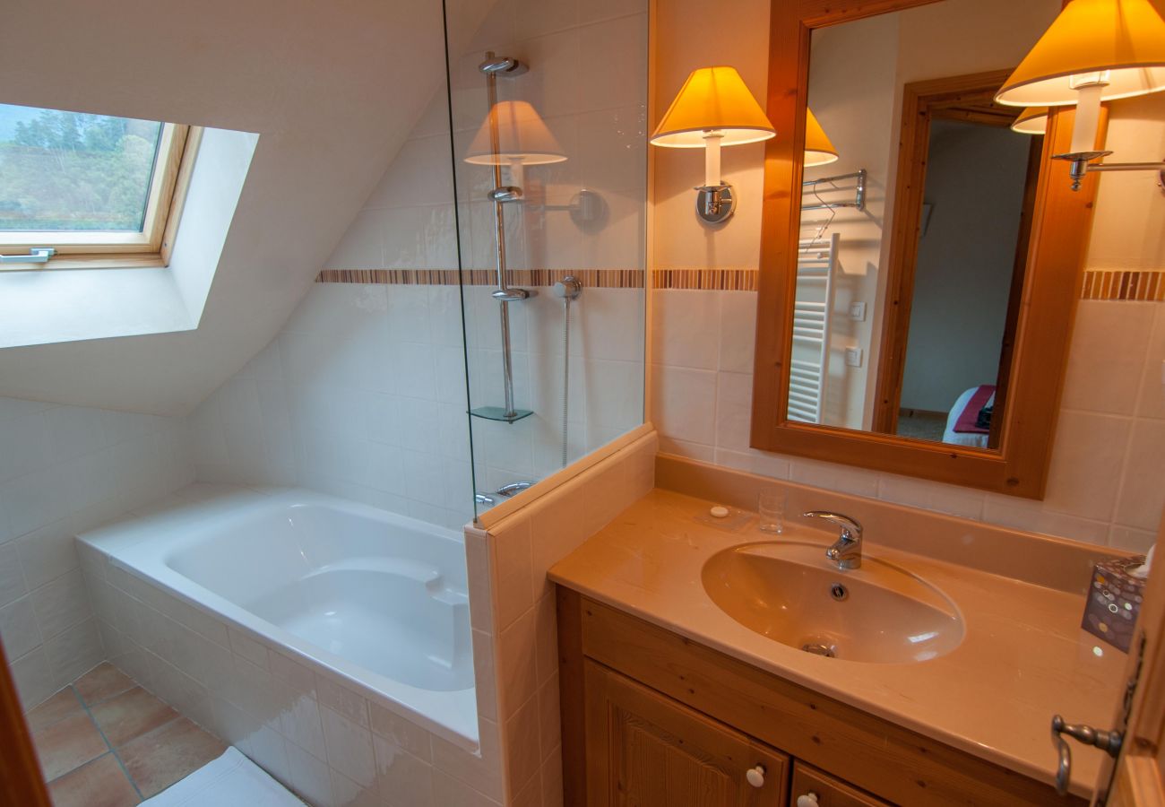 bathroom, baie des voiles, holiday rental, location, annecy, lake, mountains, luxury, flat, hotel, sun, snow, vacation