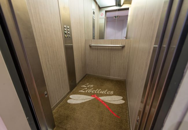 Studio in Duingt - LES LIBELLULES - STUDIO pieds dans l'eau, plage Studio in Duingt - LES LIBELLULES - STUDIO pieds dans l'eau, plage