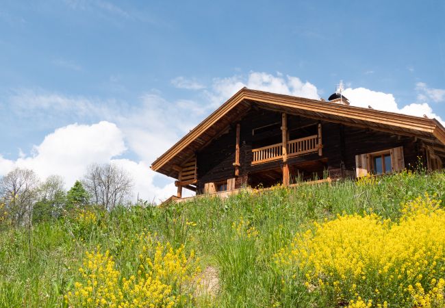 Chalet in La Clusaz - LCZ - Le Chalet 5* Cocon des Confins - 14 p