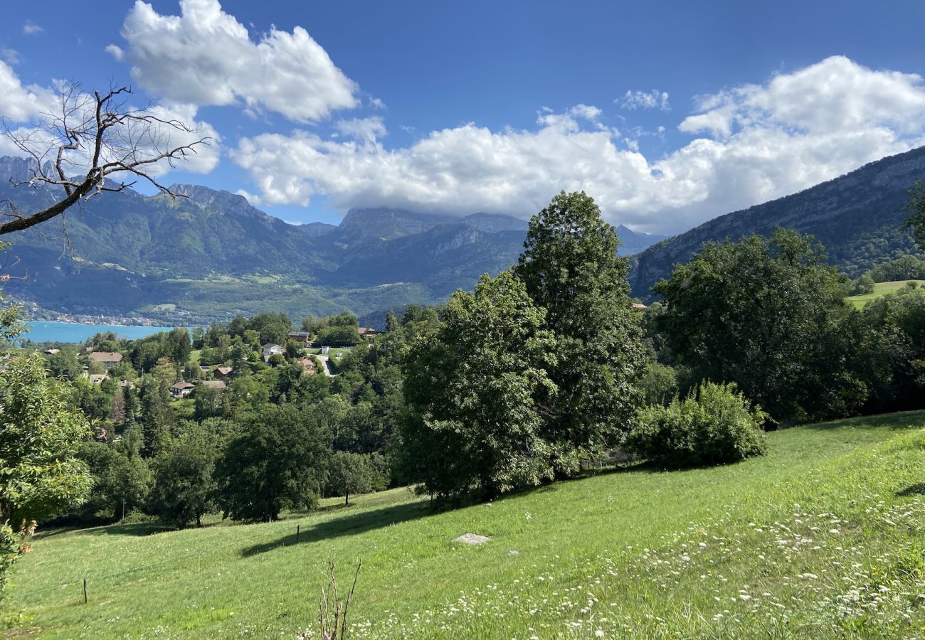 House in Saint-Jorioz - LE GRAND PRAZ