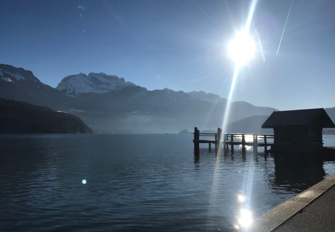 Apartment in Saint-Jorioz - ST JORIOZ-Art by the river, 2 pas du lac et piste