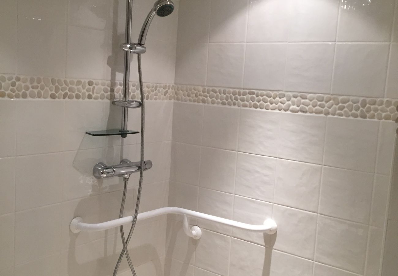 shower, bathroom. holiday rental, location, luxury