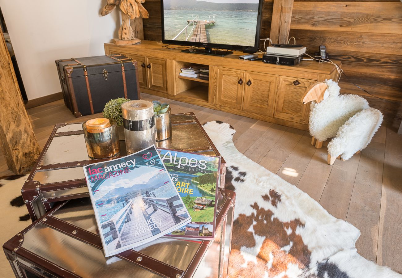 living room, tv, annecy, alpes, cosy, decoration, visit annecy in winter, holiday cottages in annecy france