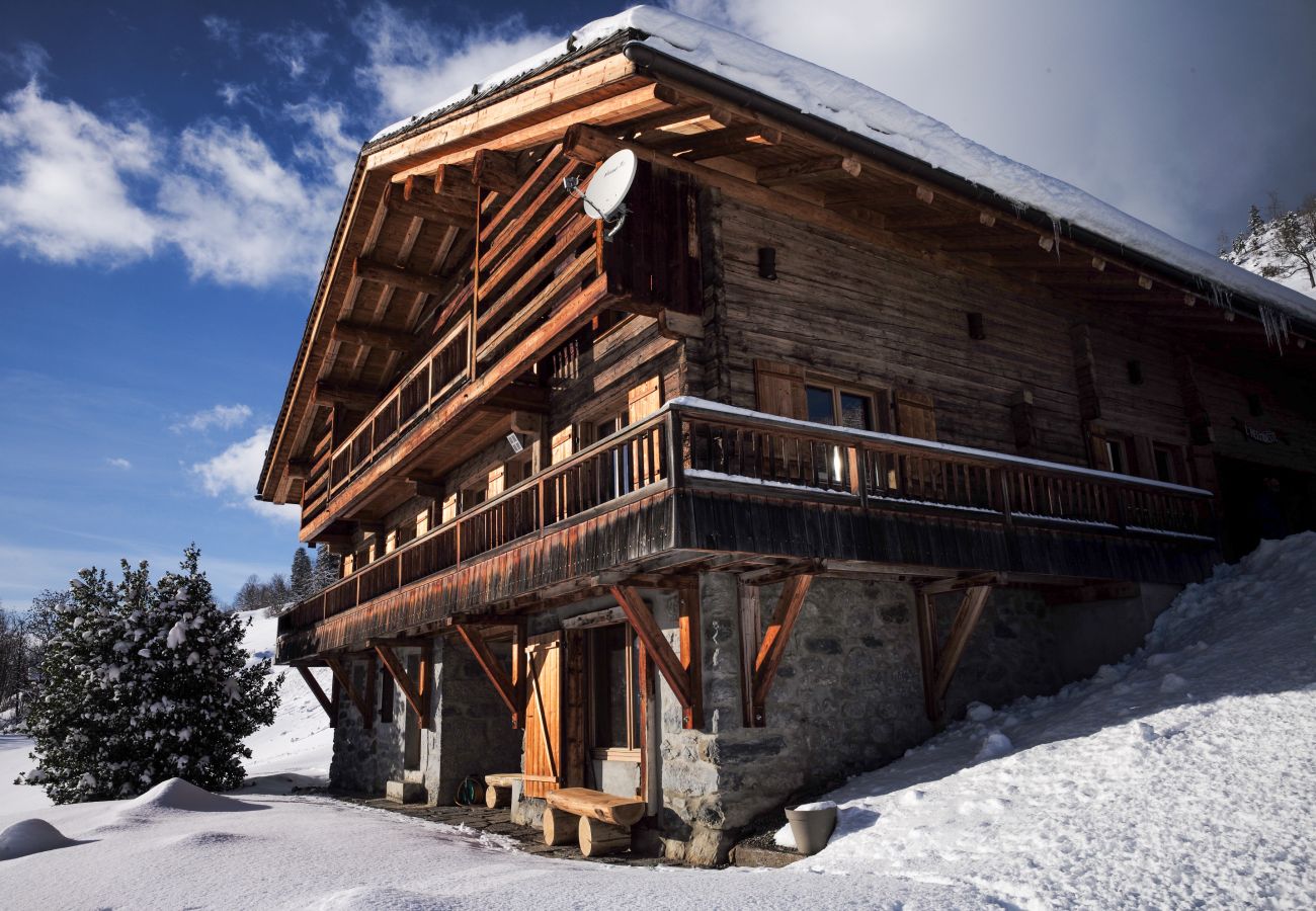 Apartment, luxury, prestige, real estate la clusaz, top of the range, snow, confins, ski, nordic ski, 14 persons