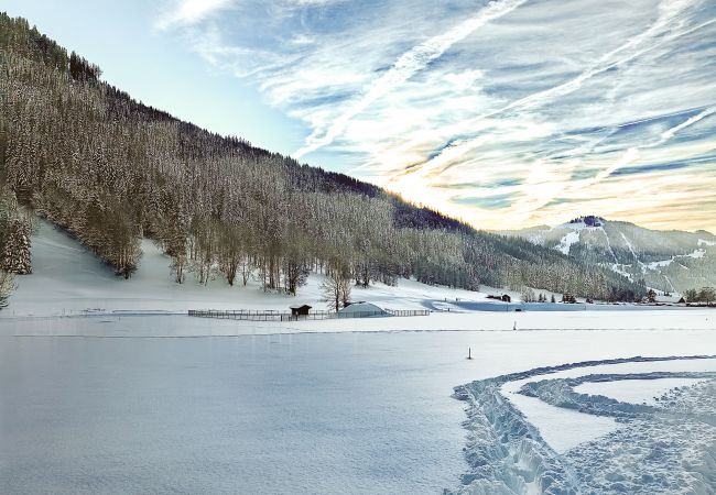 Chalet in La Clusaz - LCZ- Chalet Osmose - Piscine-Sauna-Jacuzzi Chalet in La Clusaz - LCZ- Chalet Osmose - Piscine-Sauna-Jacuzzi