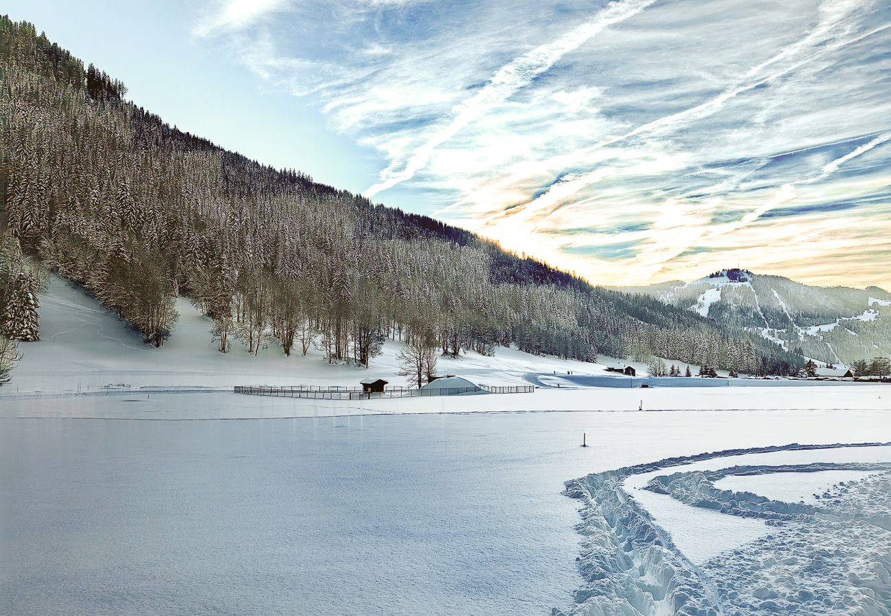 Chalet in La Clusaz - LCZ- Chalet Osmose 13*****Piscine-Sauna-Jacuzzi