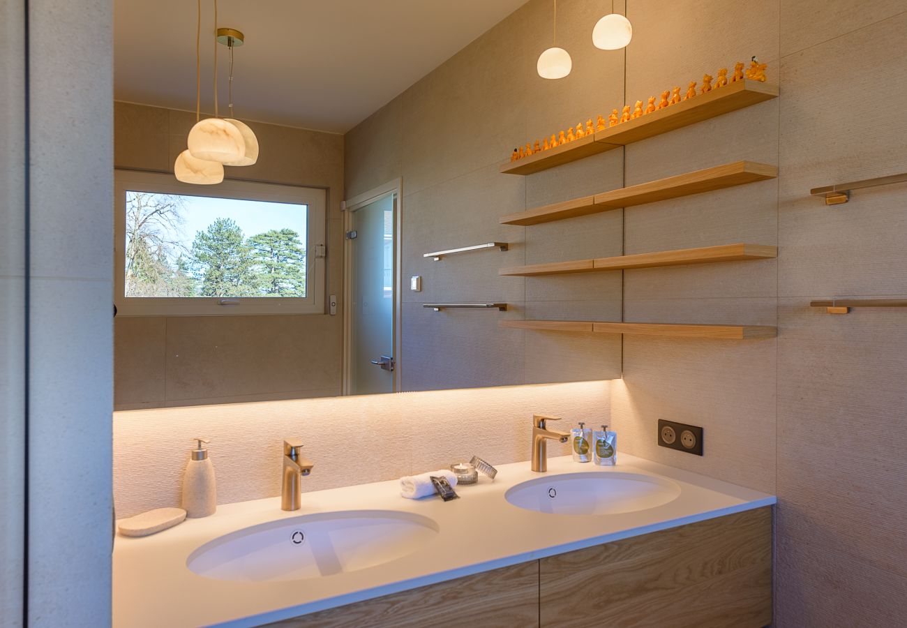 Villa in Annecy-le-Vieux - ANNECY-Villa Paradise*****  Vue, Piscine, Jacuzzi