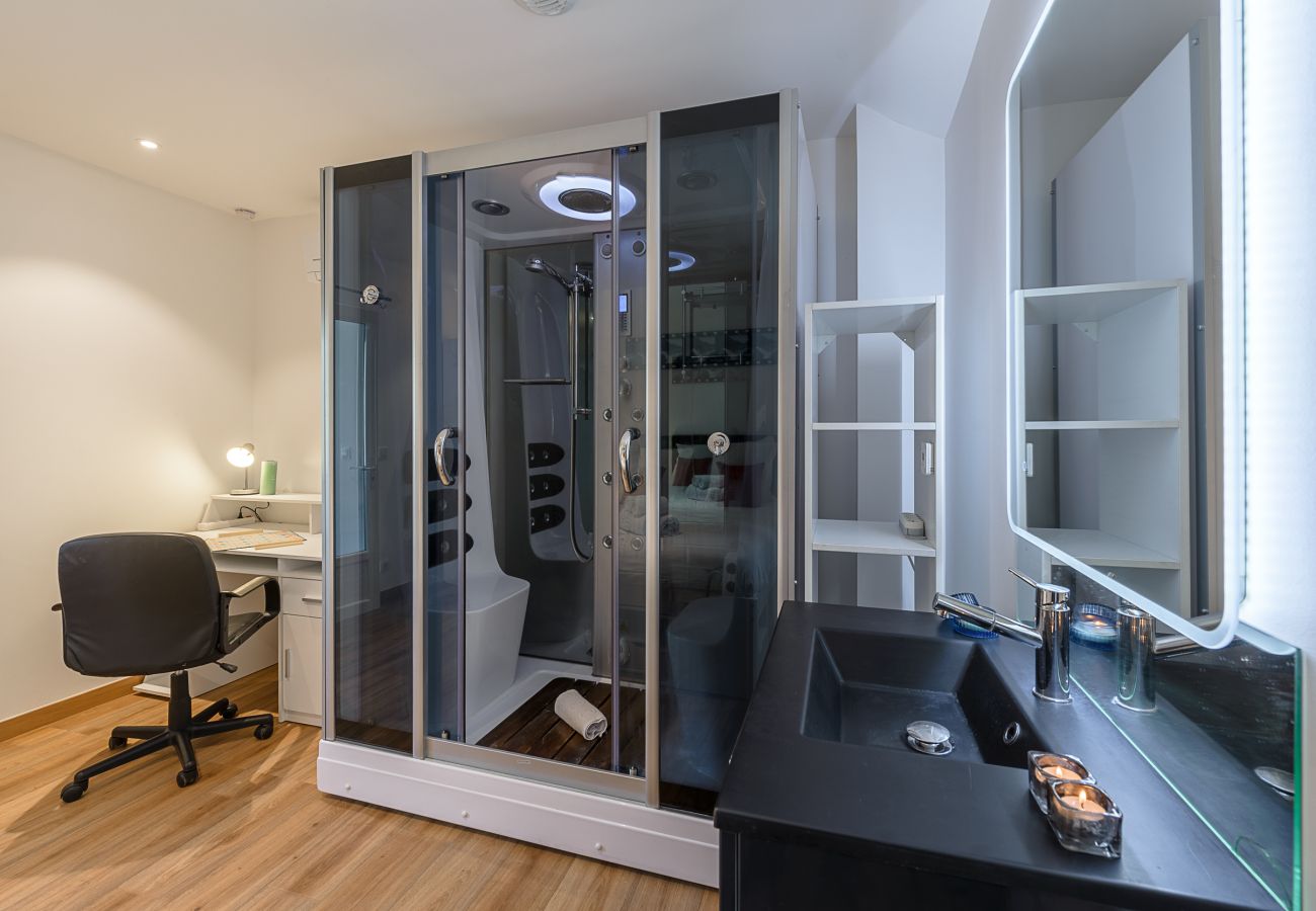 House in Doussard - BREDANNAZ - Belle Evasion, plage privée & tennis