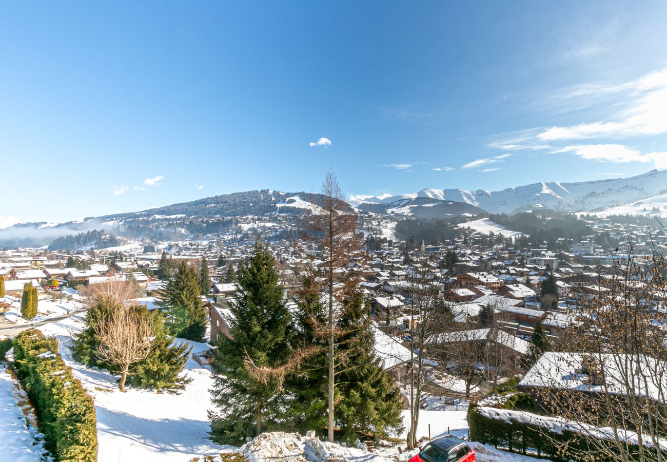 Chalet in Megève - Winter Megeve __ Chalet Altissima, Spa Privé