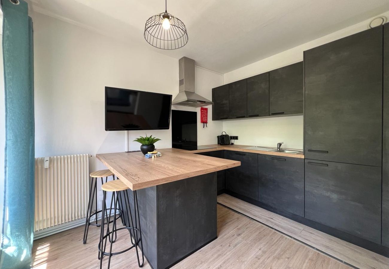 Studio in Annecy - ANNECY - le Nid Imperial, 3pax