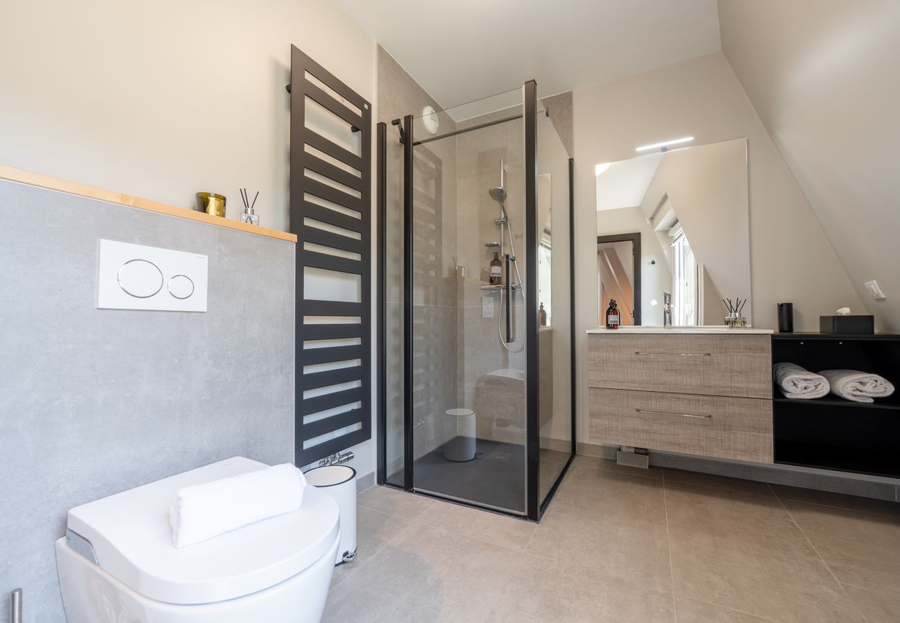 Apartment in Annecy - ANNECY - Le Penthouse du Lac