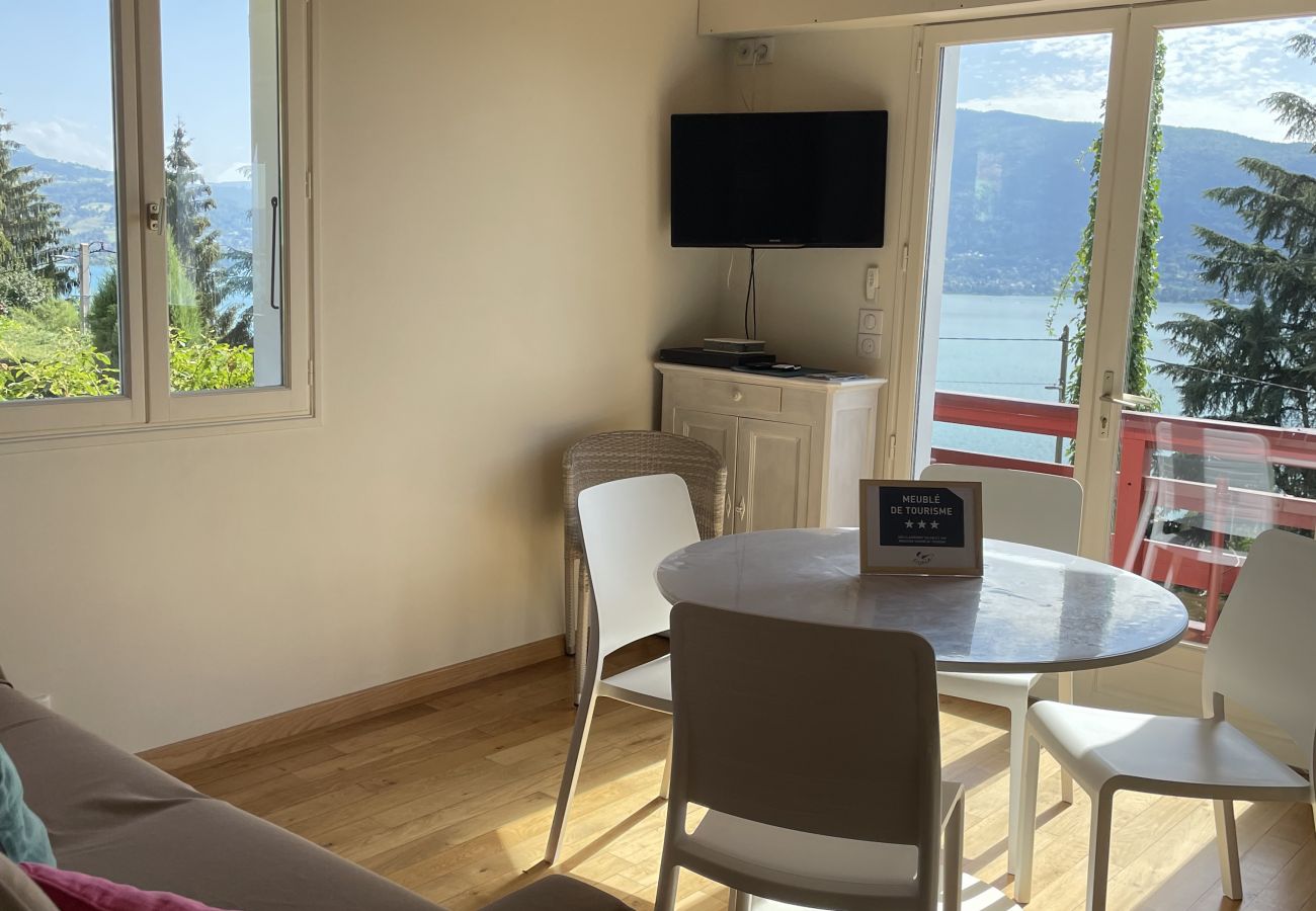 salon, appartement, luxe, location saisonnière, annecy, vacances, vue lac, montagne, chalet, hôtel, neige, soleil