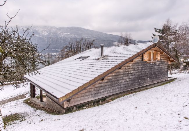 façade, chalet, location saisonnière, annecy, vacances, lac, montagne, luxe, maison, hôtel, neige, soleil 