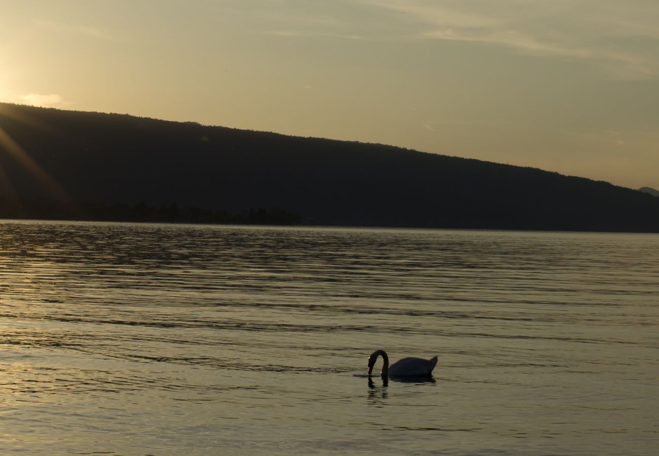 annecy, lac, Duingt, location saisonnière, vacances, vue lac, accès lac, vue montagne, luxe