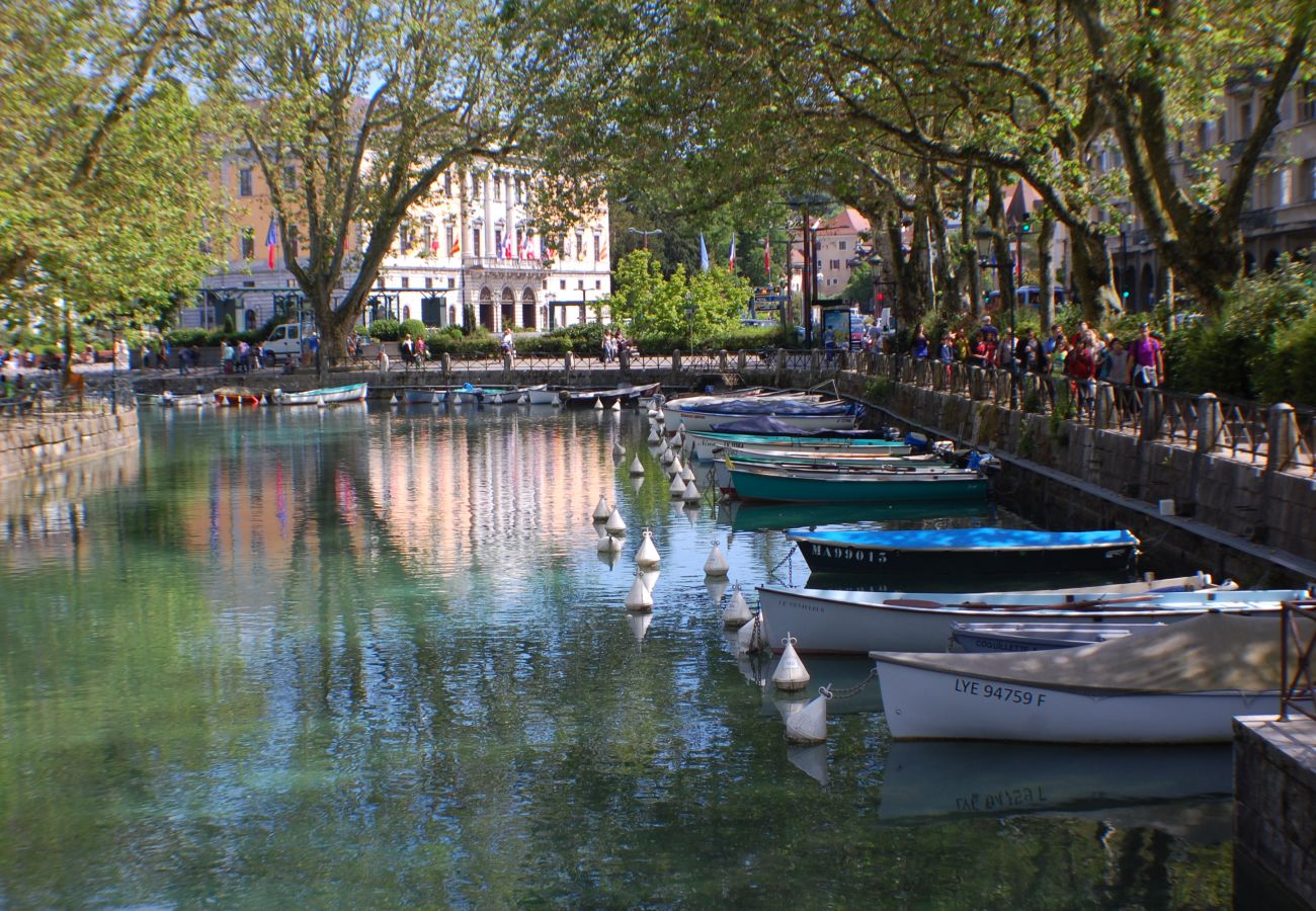 Annecy, Duingt, location saisonnière, vacances, vue lac, accès lac, vue montagne, luxe