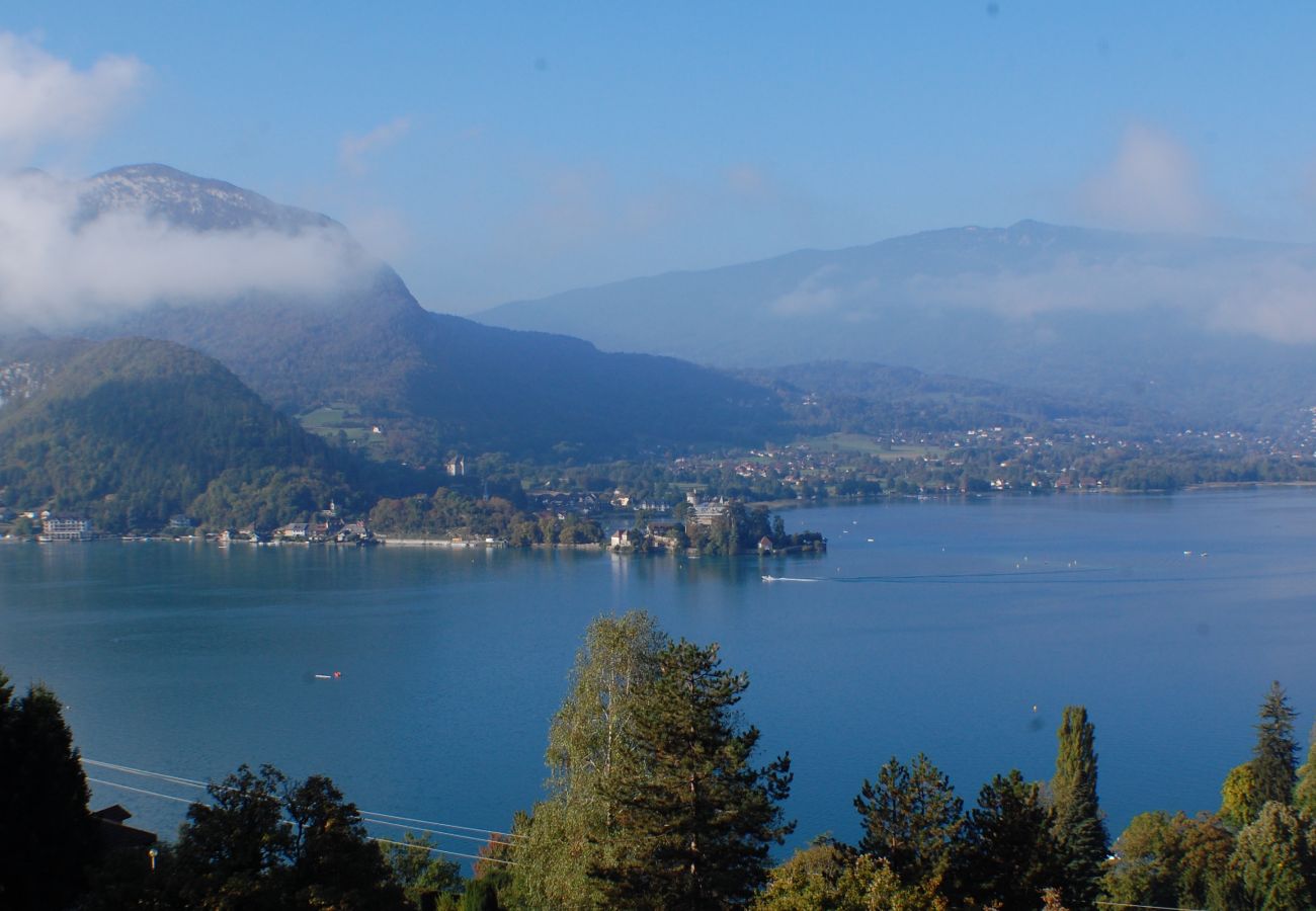 location saisonnière, vacances, annecy, vue lac et montagnes, luxe, appartement, hôtel, neige, soleil