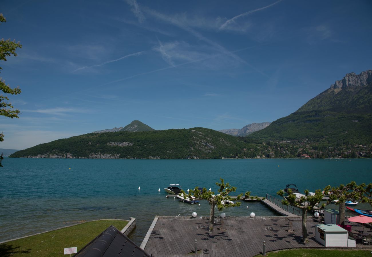 jardin, baie des voiles, location saisonnière, vacances, annecy, lac, montagne, luxe, appartement, hôtel, neige, soleil