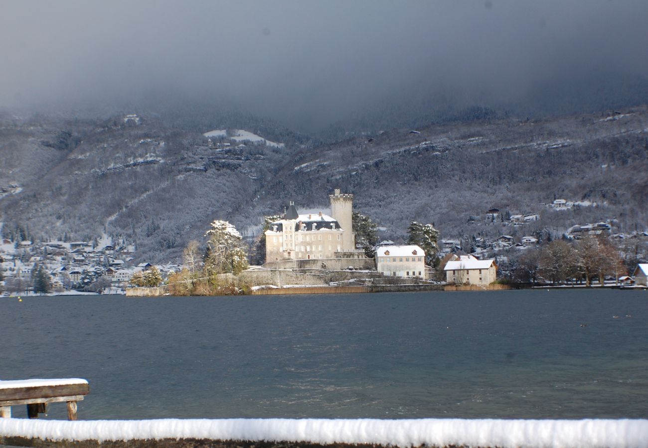 chateau, vue, lac, résidence, baie des voiles, Duingt, vacances, location saisonnière 