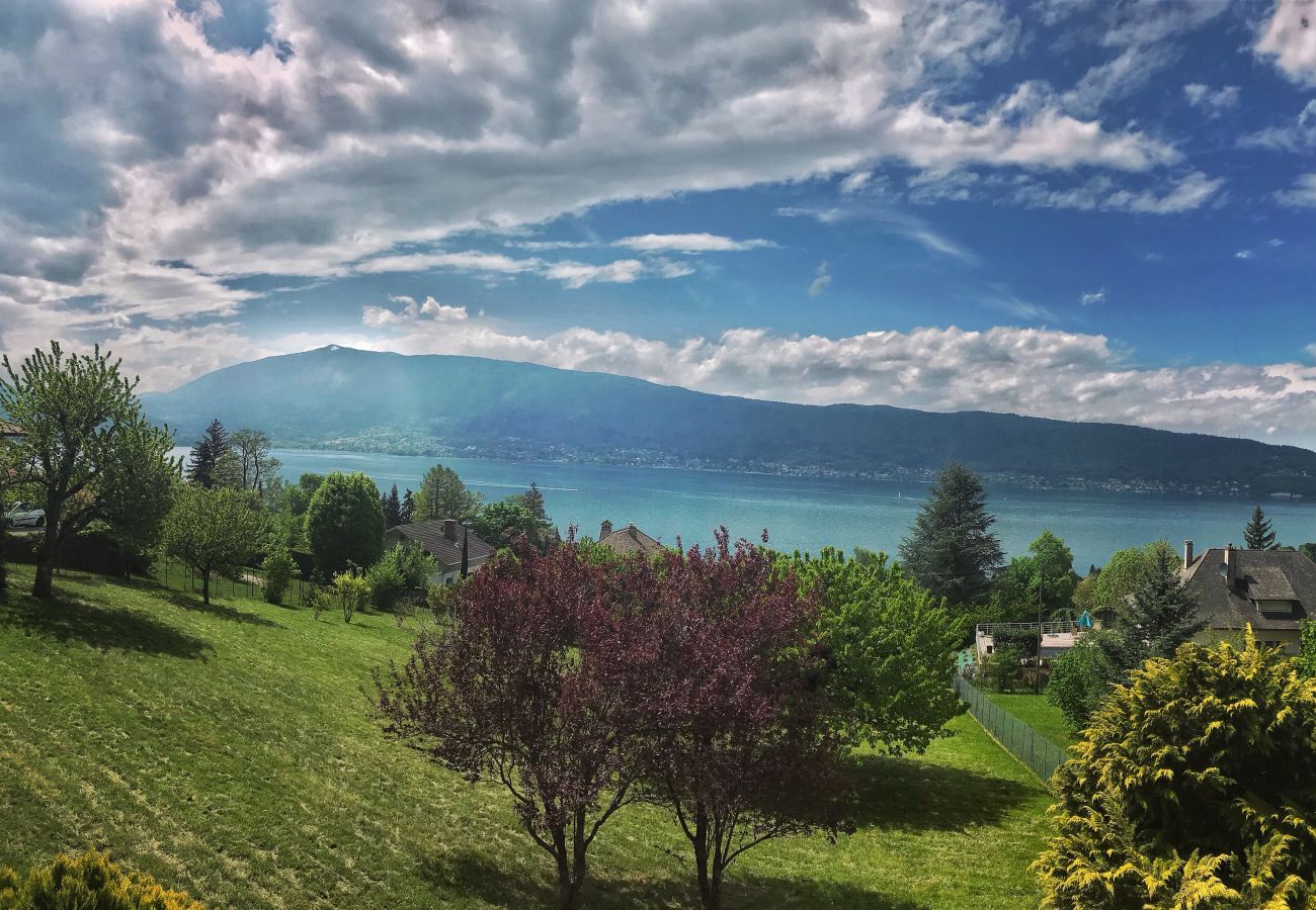 location appartements chalets annecy vue lac 
