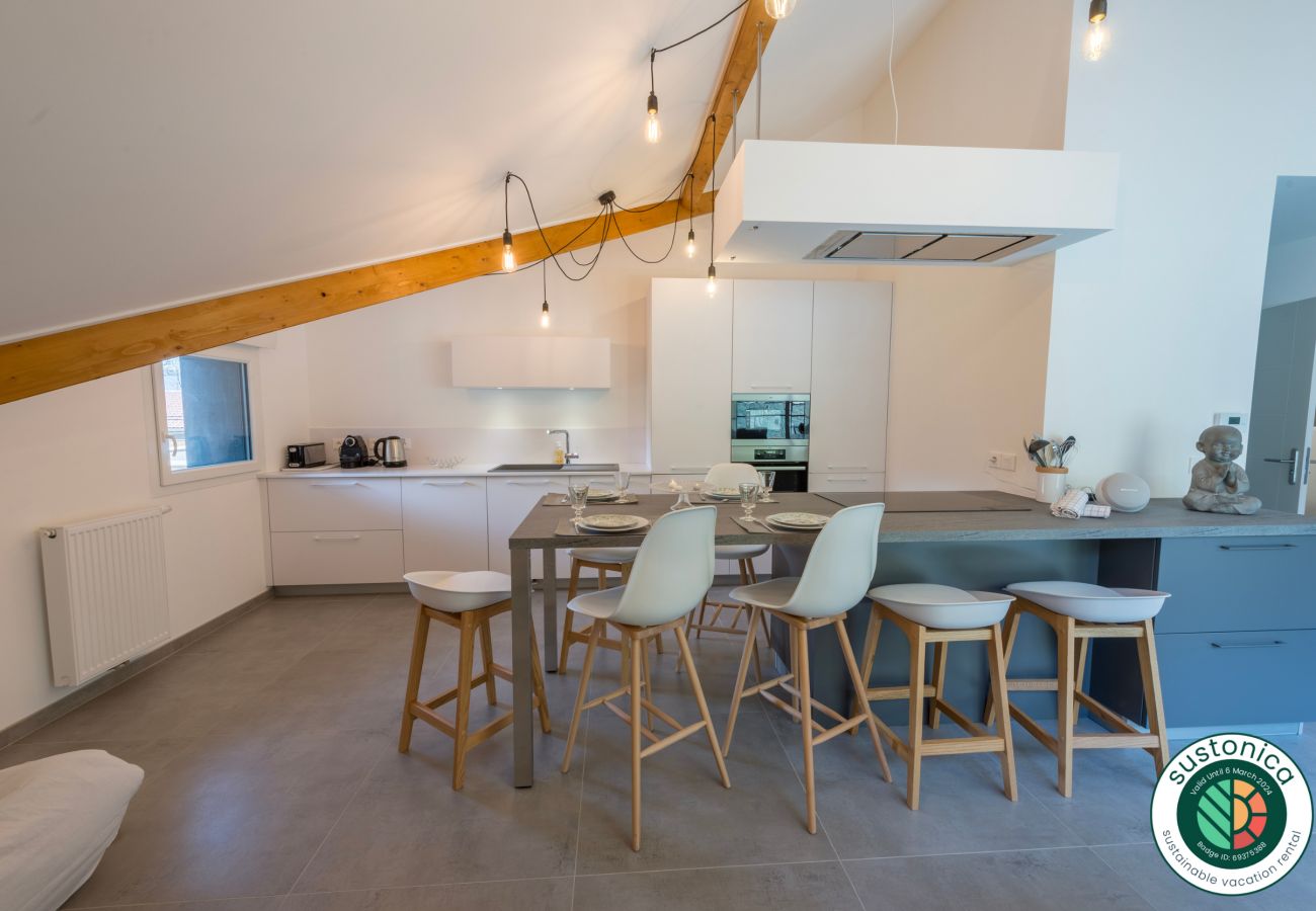 cuisine moderne et entièrement équipée ouverte sur la salle à manger à Duingt