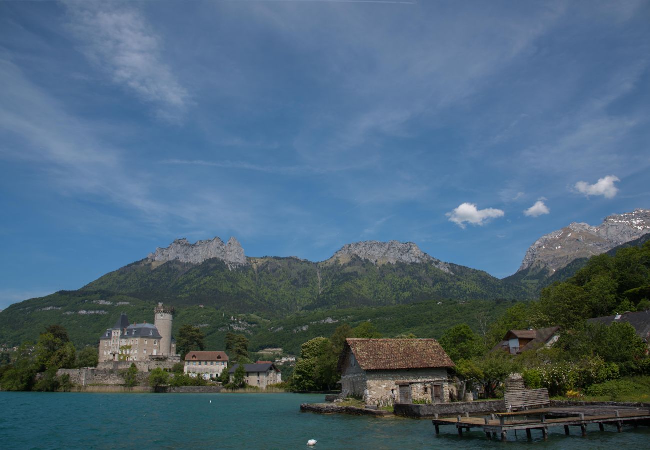 vue, chateau, Duingt, lac, résidence, baie des voiles, annecy, vacances, location saisonnière 