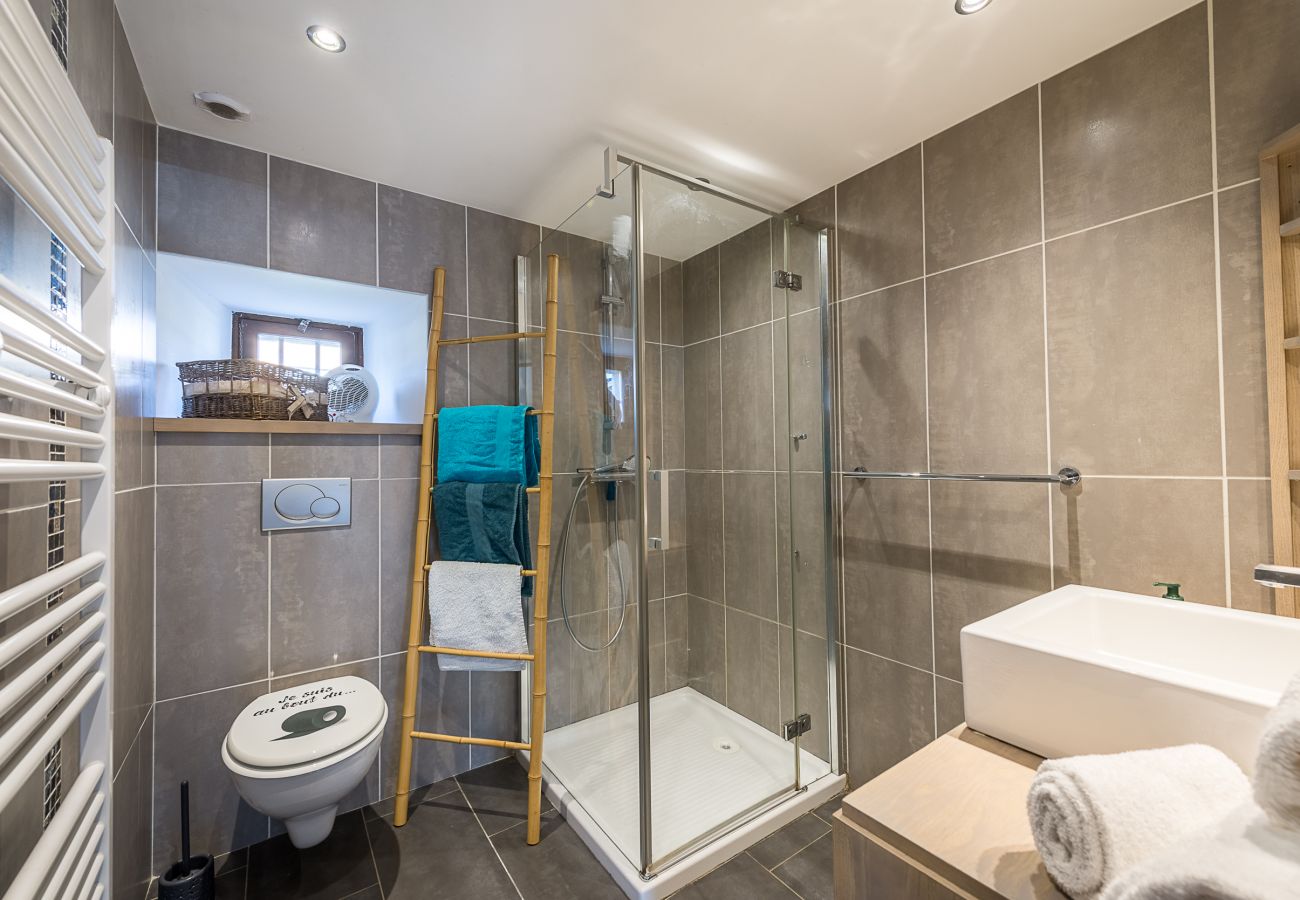 salle de douche, douche, wc, location près d annecy, maison location annecy, annecy location chalet