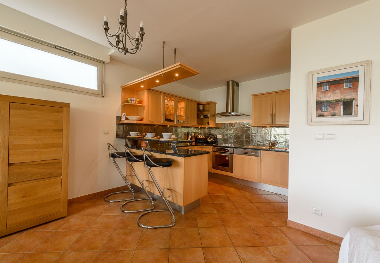 appartement de standing, vue lac, location saisonnière Premium, annecy, conciergerie haut de gamme, vacances, airbnb luxe