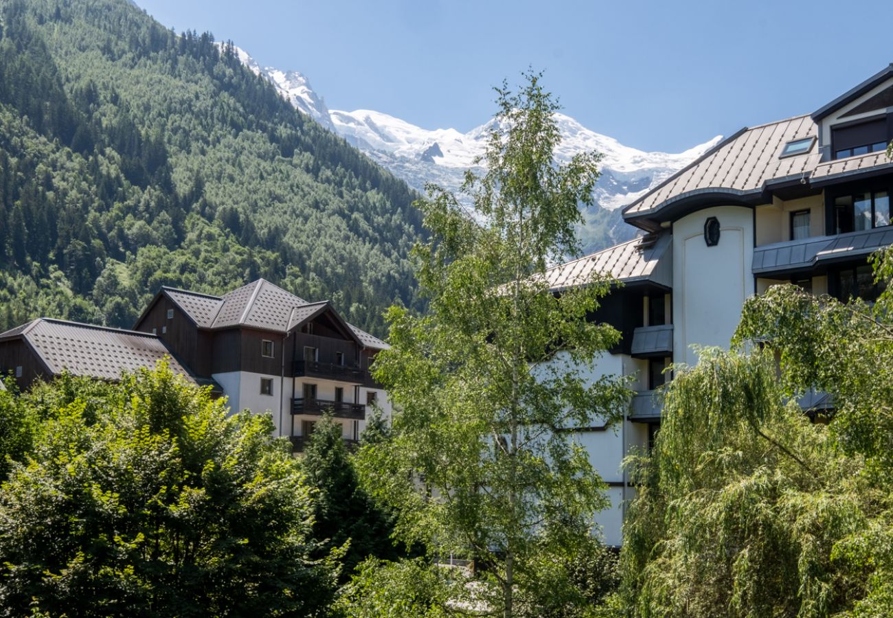 Appartement à Chamonix-Mont-Blanc - Rose de Glace: Residence la Roseraie