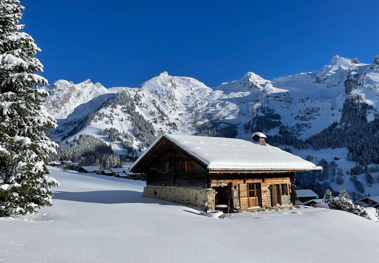 Chalet à La Clusaz - LCZ-L'Authentique Chalet familial 5* des Confins