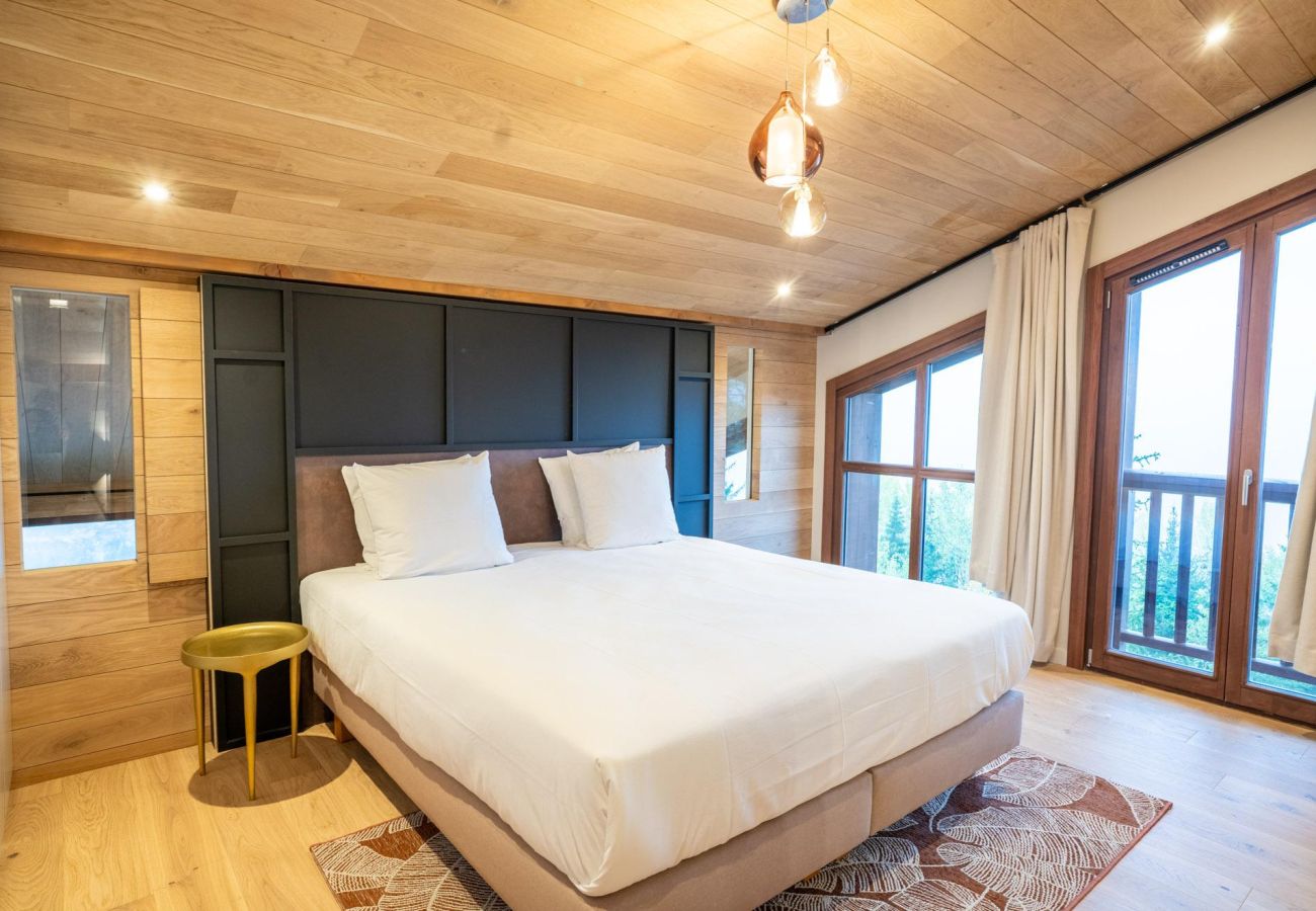 Domaine skiable - location saisonnière - logement montage