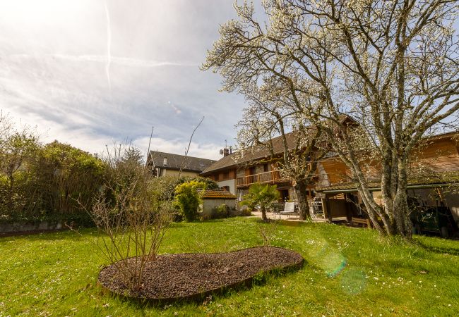 Location maison au bord du lac d'Annecy pour famille, séminaire en montagne, gite à louer alpes, maison pied dans l'eau 