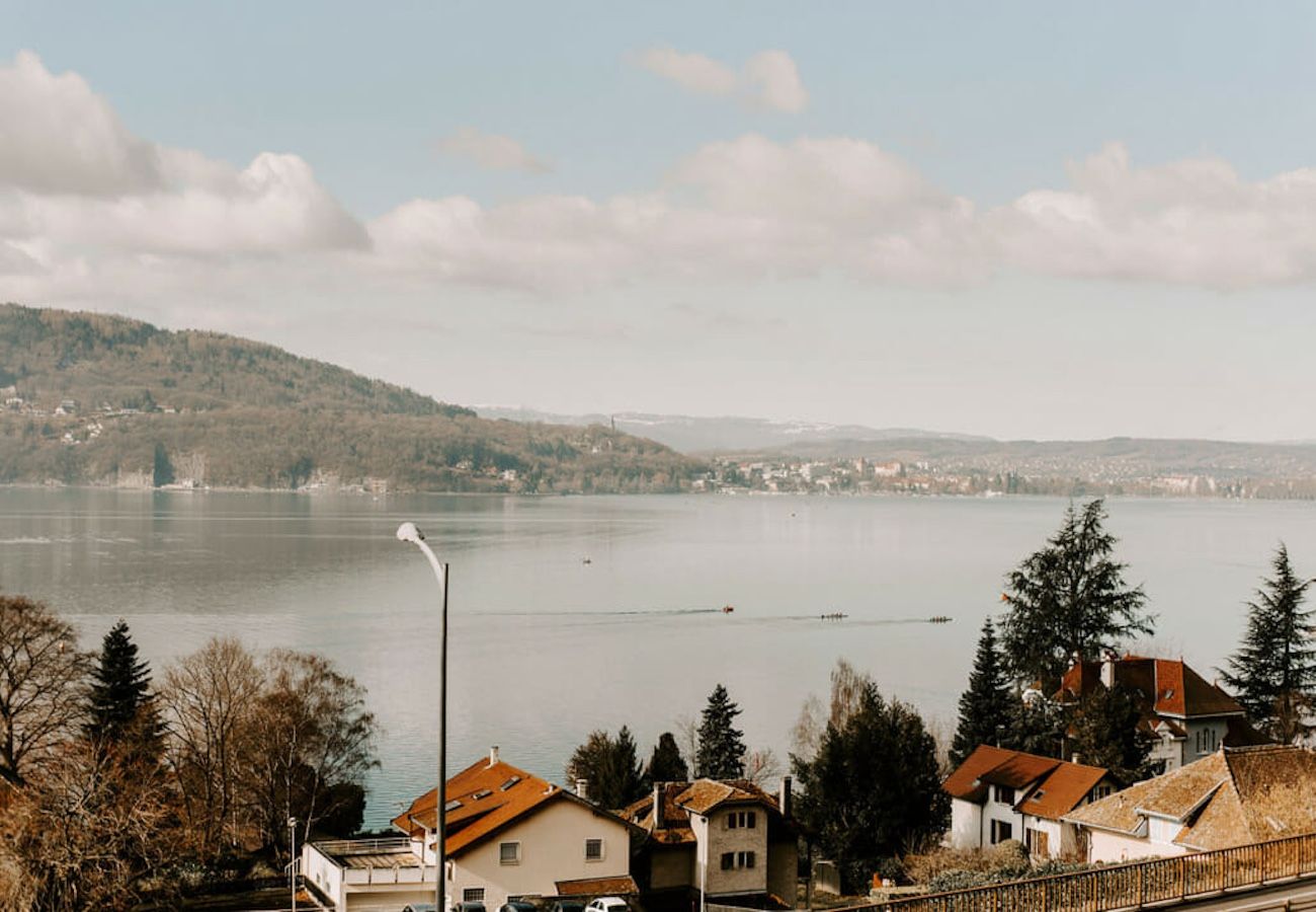 Domaine à Veyrier-du-Lac - Le Vignoble du Lac, Domaine avec vue. 17p.